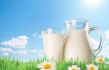 Думка: Українським молочникам поки не варто сподіватись на світові ринки
