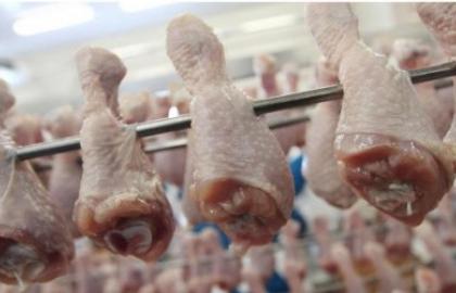 Belarus plans to start exporting poultry meat to the EU