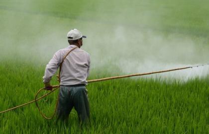 ФАО пропонує рішення для оцінки ризиків використання пестицидів