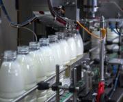 Обнародованы прогноз производства молока в 2018
