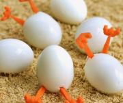 За месяц Украина экспортировала 7,2 тыс т яиц