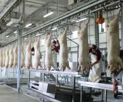 The number of slaughterhouses in two years decreased by almost 10%