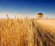 Ukrainian agricultural co-operatives produce 1% of all agricultural products