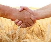 Запропоновано виділити 700 тис. грн на підтримку фермерських господарств– законопроект
