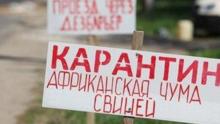 В Україні зафіксовано ще чотири випадки АЧС, – Держпродспоживслужба