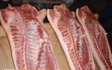 «Ми посприяли, аби ціни за живець свинини зросли майже на 5 гривень» - голова АТУ Ірина Паламар